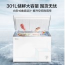 美的 301升 商用卧式大冷冻囤货冰柜  BD/BC-301KM(E)