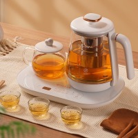 艾美特（AIRMATE）简约派养生壶电水壶办公室便携水壶 CS0610