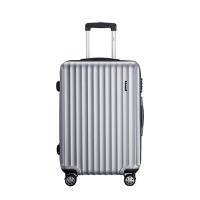 爱登堡（edenbo）商务旅行拉杆箱登机箱 20英寸 DX963001-20F 银色