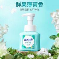 蓝月亮 鲜果薄荷泡沫抑菌洗手液255ml*2瓶