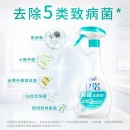 蓝月亮 卫诺除霉去渍剂500g*2
