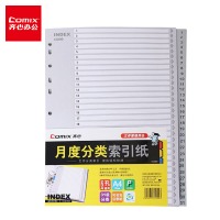 齐心 IX899 易分类月度索引纸 A4 31页 11孔 灰